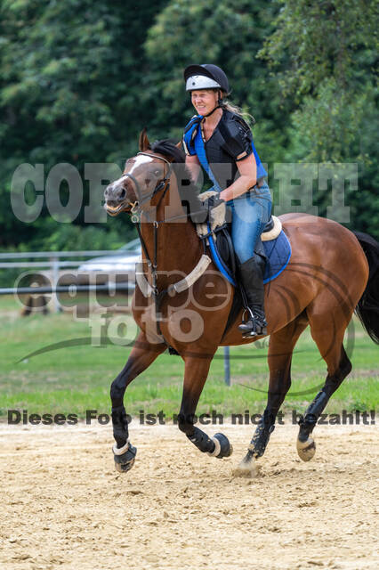 Hunter Geländetraining 10.07.2021 (Sonsbeck)