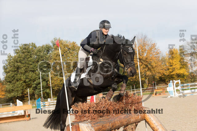 IGV Lehrgang der Sieger der Cups mit Frank Ostholt