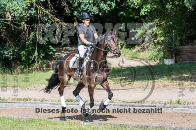 Late-Entry-Vielseitigkeit Langenfeld (11.+13./14.06.2020)