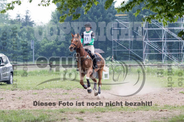 Vielseitigkeitsturnier ZRFV von Lützow Hamminkeln