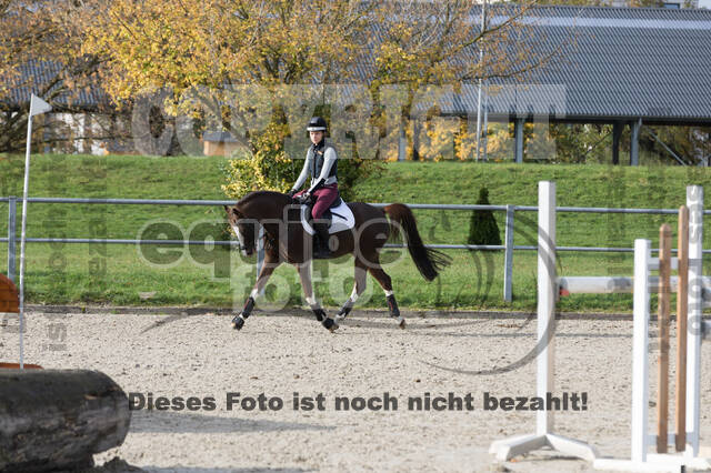 IGV Lehrgang der Sieger der Cups mit Frank Ostholt