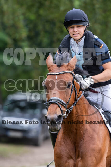 Late-Entry-Vielseitigkeit Langenfeld (11.+13./14.06.2020)