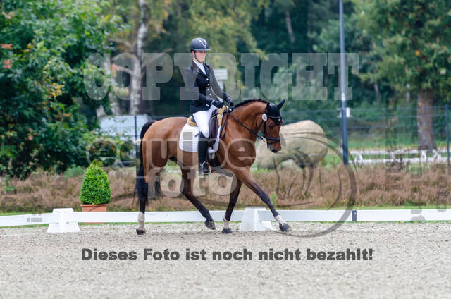 Deutsche Meisterschaft Vielseitigkeit (Luhmühlen)