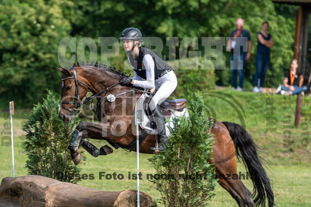 Goldene Schärpe 2021 - Ponys