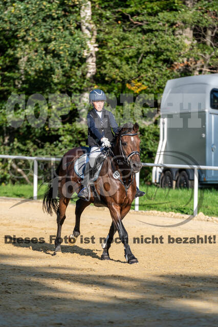 RFV Dinslaken-Hiesfeld (Herbstturnier)