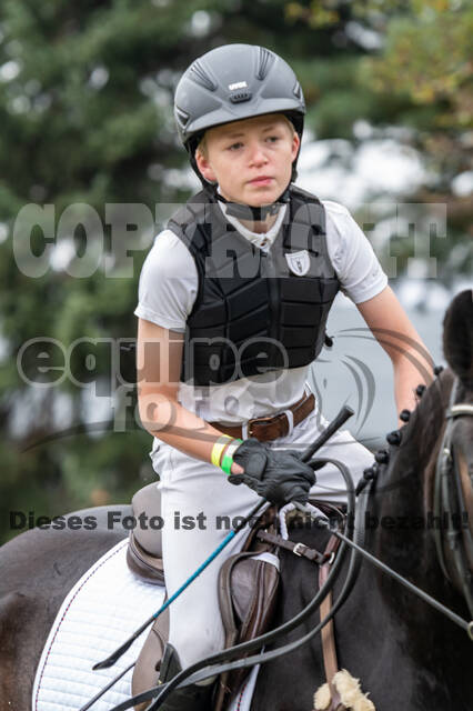 Goldene Schärpe 2020 - Pferde