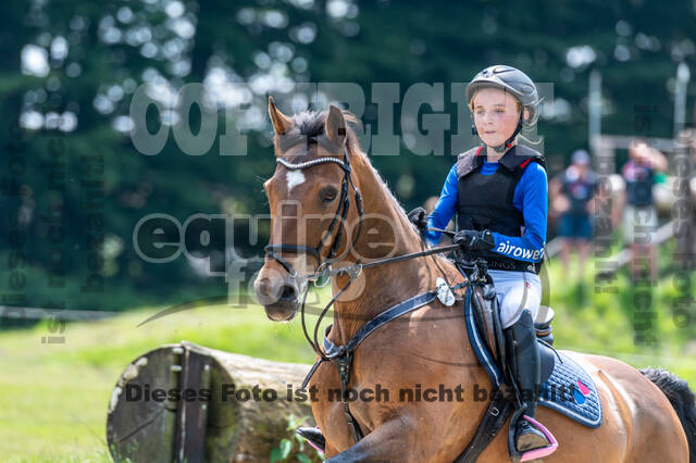 Goldene Schärpe 2021 - Ponys
