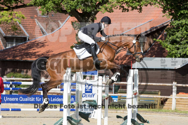Sterne über Münster 2019 - CCI***S