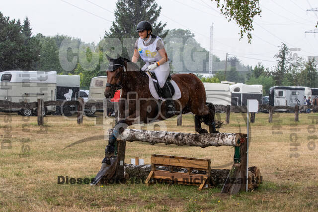 Late-Entry Vielseitigkeit Hamminkeln/Wesel (01.+02.08.2020)
