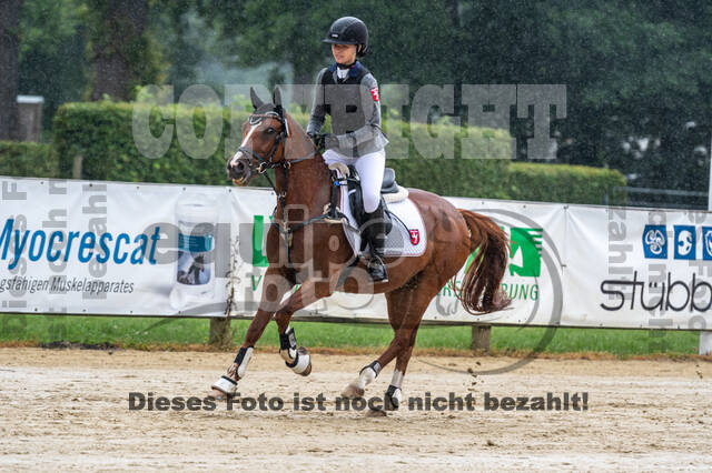 Goldene Schärpe 2021 - Ponys