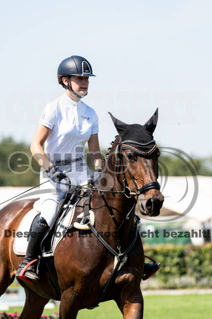 Kronenberg - De Peelbergen (August 2020)