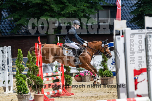 Goldene Schärpe 2021 - Ponys