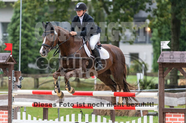 Vielseitigkeit RSV Wesel Obrighoven (26.+27.09.2020)