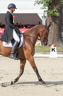 FEI European Championship Eventing 2017