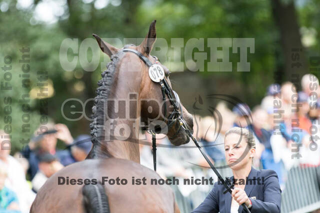 FEI European Championship Eventing 2017