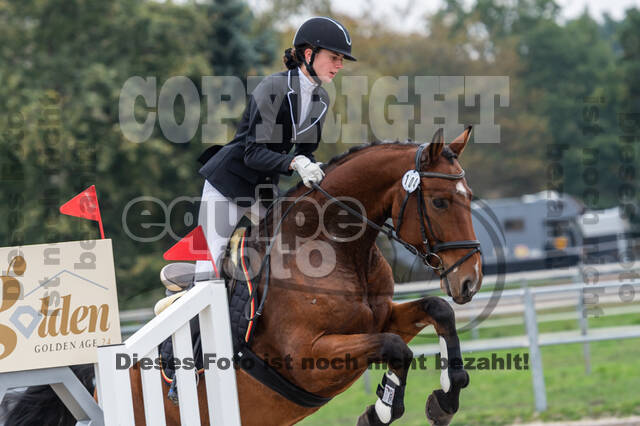 Goldene Schärpe 2020 - Pferde