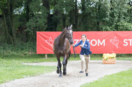 FEI European Championship
