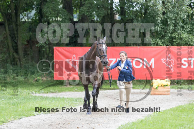 FEI European Championship