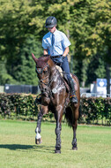 Kronenberg - De Peelbergen (August 2020)