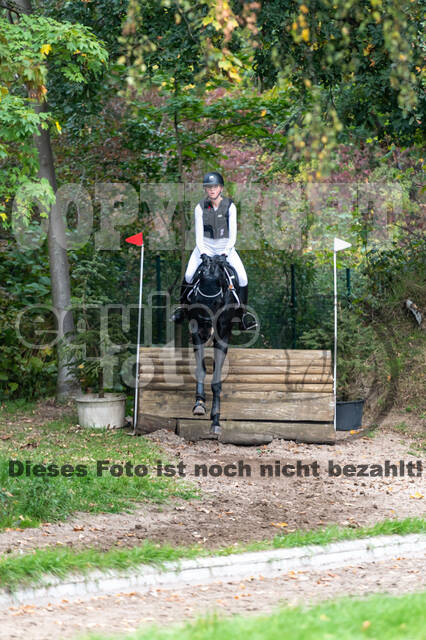 Goldene Schärpe 2020 - Pferde