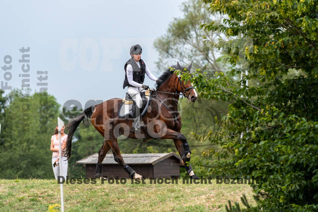 Late-Entry-Vielseitigkeit Langenfeld (11.+13./14.06.2020)