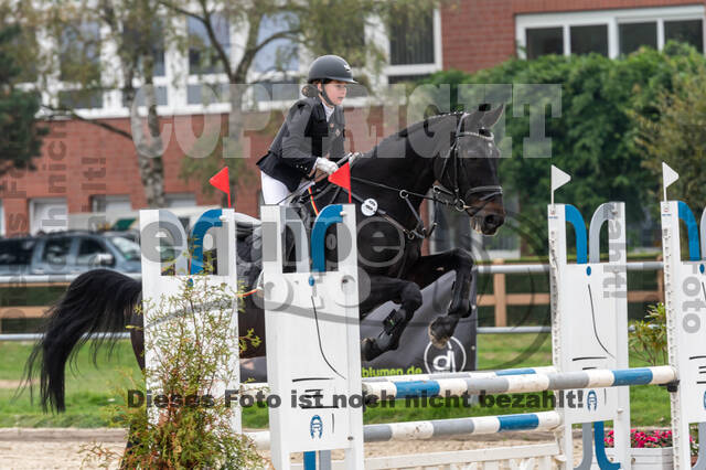 Goldene Schärpe 2020 - Pferde