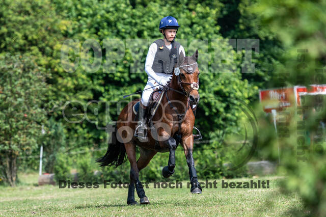 Goldene Schärpe 2021 - Ponys