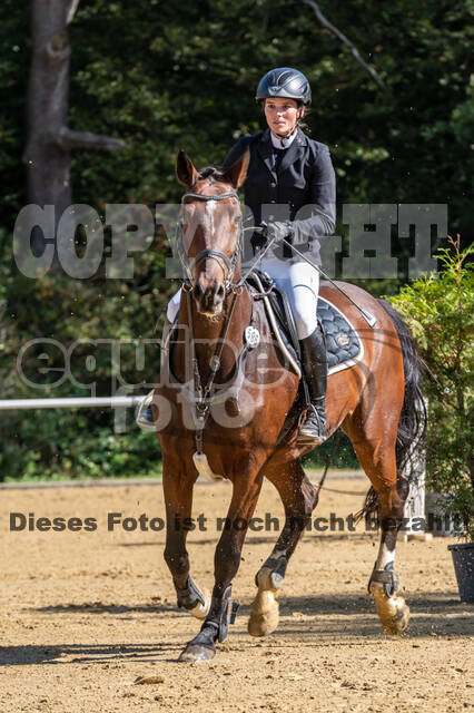 RFV Dinslaken-Hiesfeld (Herbstturnier)