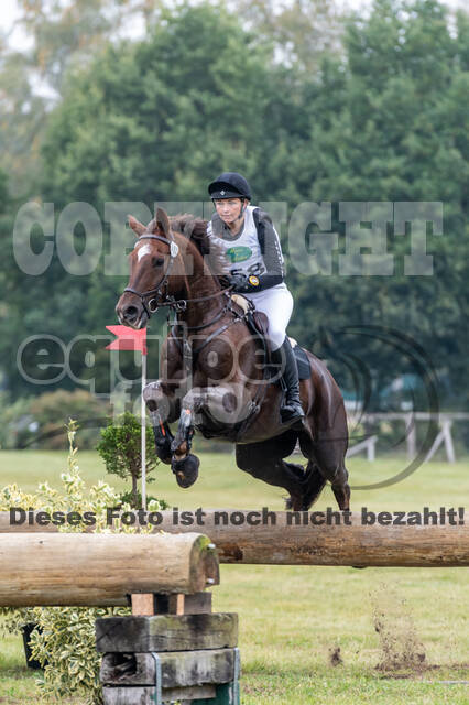 Deutsche Meisterschaft Vielseitigkeit (Luhmühlen)