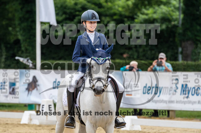 Goldene Schärpe 2021 - Ponys