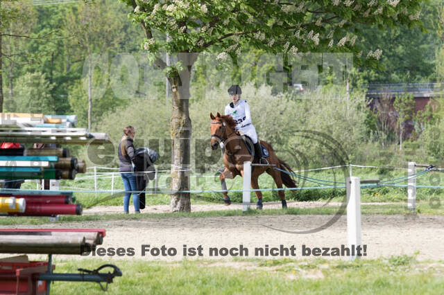 Vielseitigkeitsturnier RuFV Rheurdt