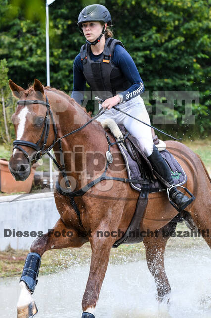 Late-Entry-Vielseitigkeit Langenfeld (11.+13./14.06.2020)