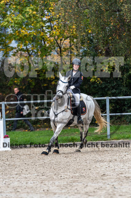 Goldene Schärpe 2020 - Pferde