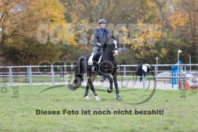 IGV Lehrgang der Sieger der Cups mit Frank Ostholt