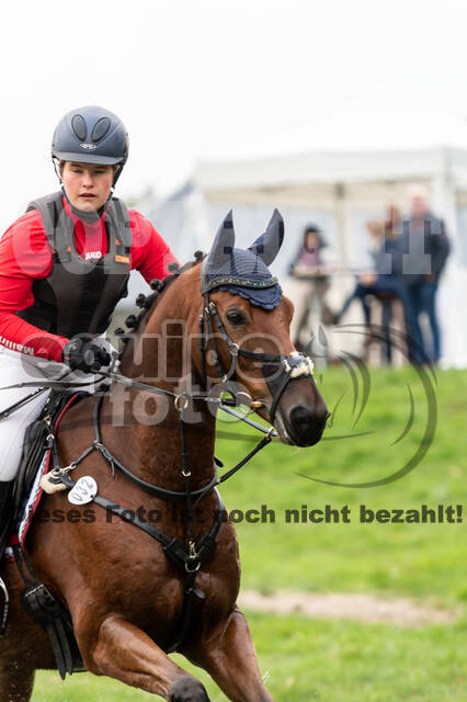 Goldene Schärpe 2020 - Pferde