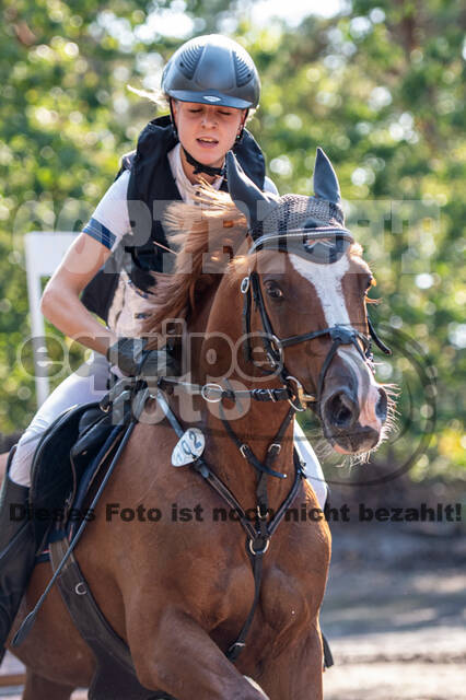 De Peelbergen (August 2020)