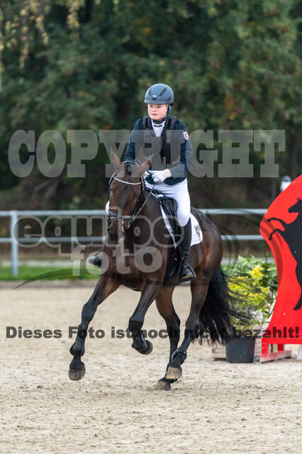 Reiter Schleswig-Holstein