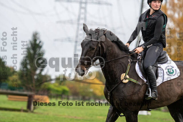 Training Bettina Hoy (01.11.2020)