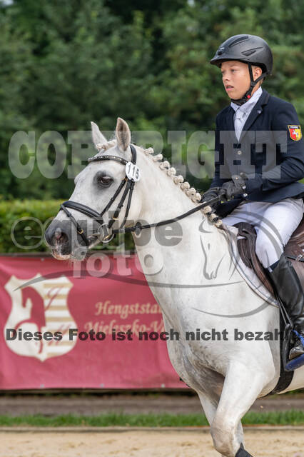 Goldene Schärpe 2021 - Ponys