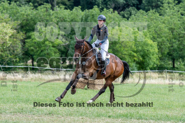 Bonn-Rodderberg Late-Entry-Vielseitigkeit (30.06.2020)