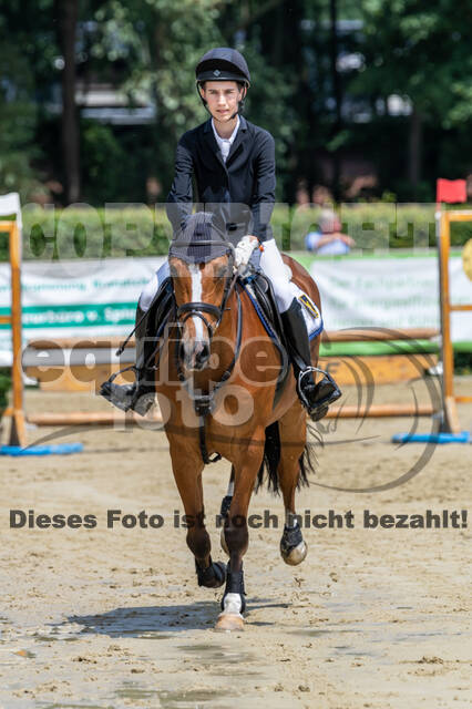 Goldene Schärpe 2021 - Ponys