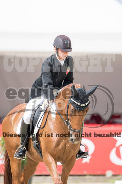 FEI European Championship Eventing 2017