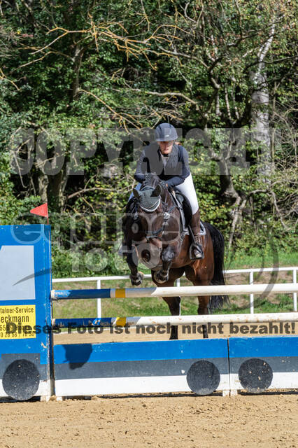 RFV Dinslaken-Hiesfeld (Herbstturnier)