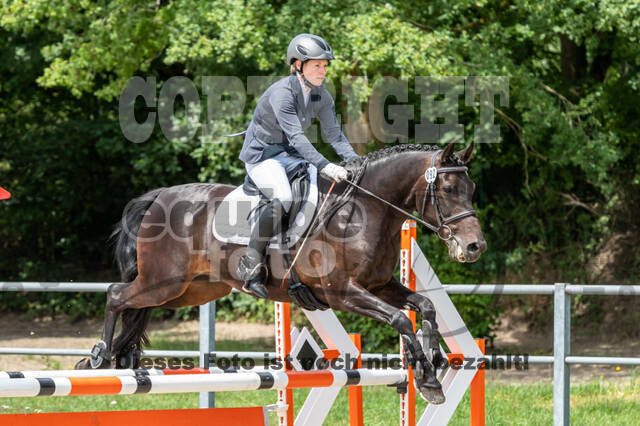 Late-Entry-Vielseitigkeit Langenfeld (06.+07.07.2020)