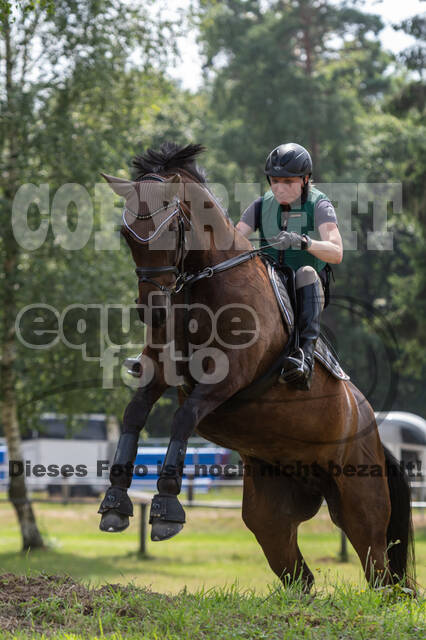 Hunter Geländetraining 10.07.2021 (Sonsbeck)