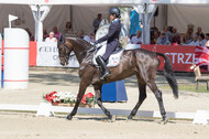 FEI European Championship