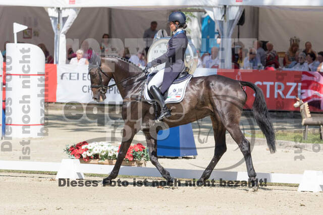 FEI European Championship