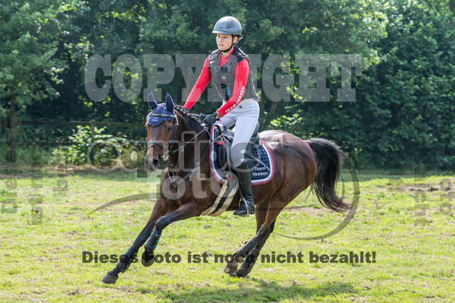 Goldene Schärpe 2021 - Ponys