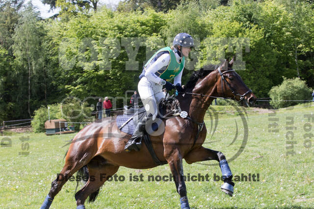 Sterne über Münster 2019 - CCI***S