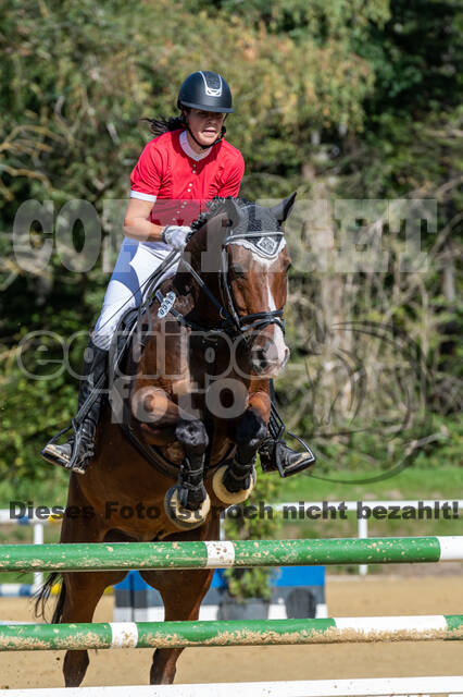 RFV Dinslaken-Hiesfeld (Herbstturnier)